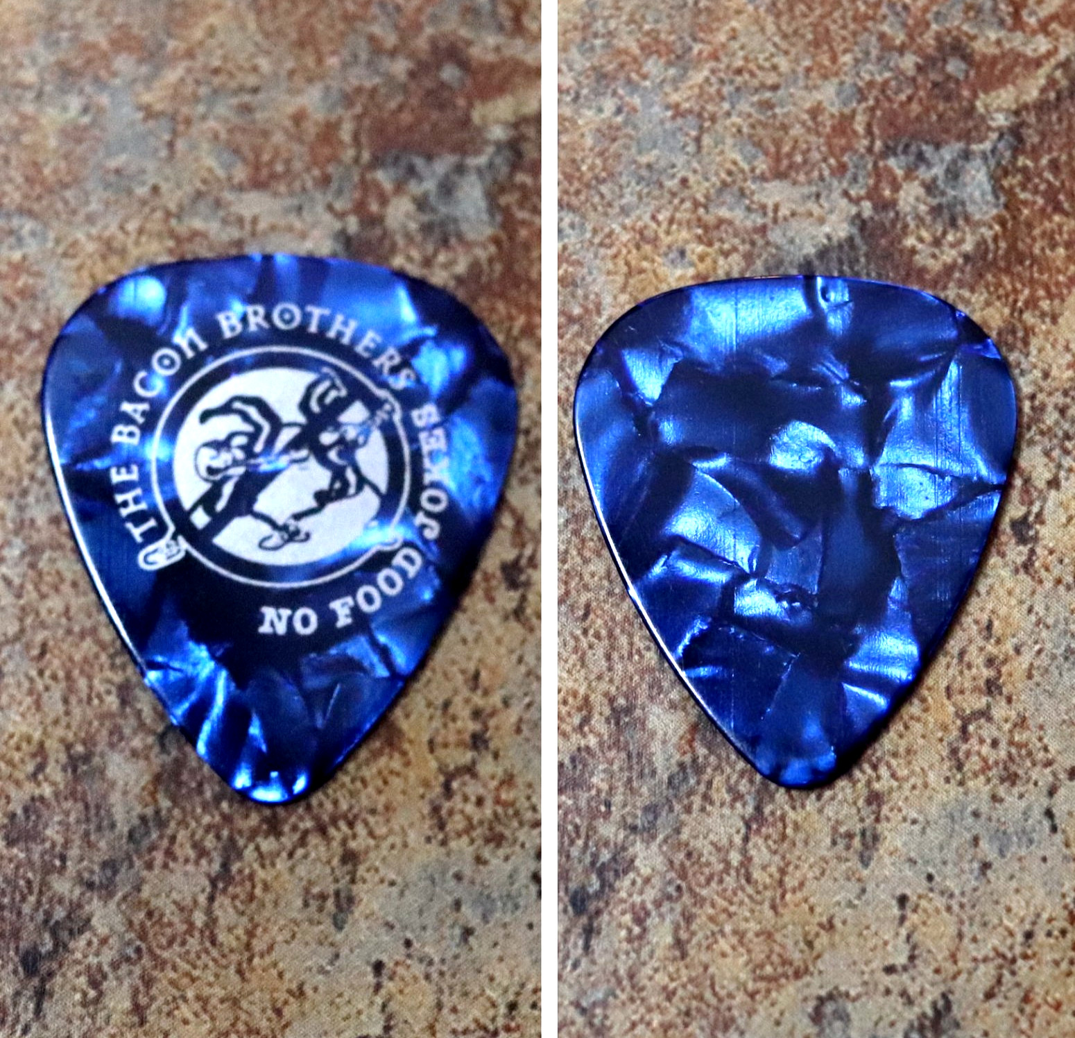 The Bacon Brothers Tour Guitar Pick ~ Actor Kevin Bacon and Brother Michael