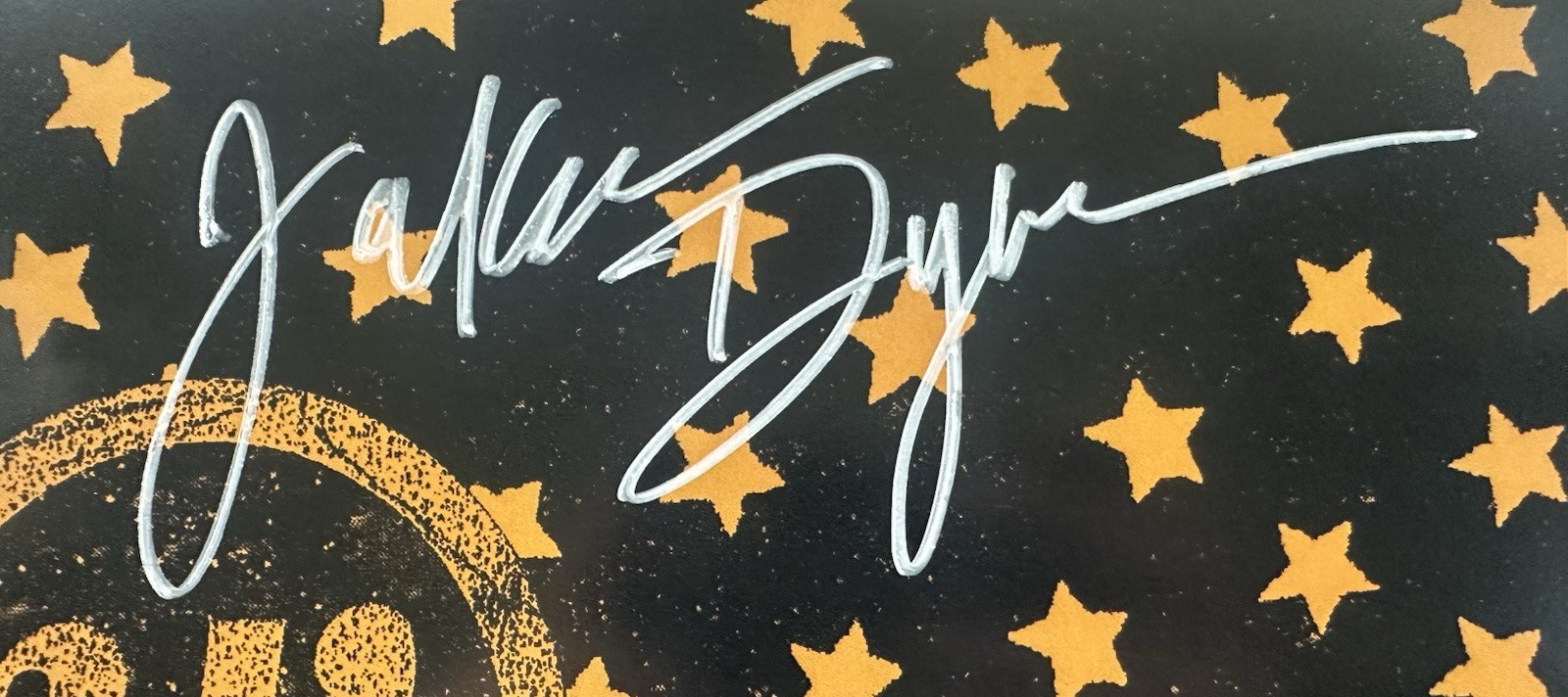JAKOB DYLAN SIGNED BRINGING DOWN THE HORSE VINYL RECORD ALBUM LP JSA COA