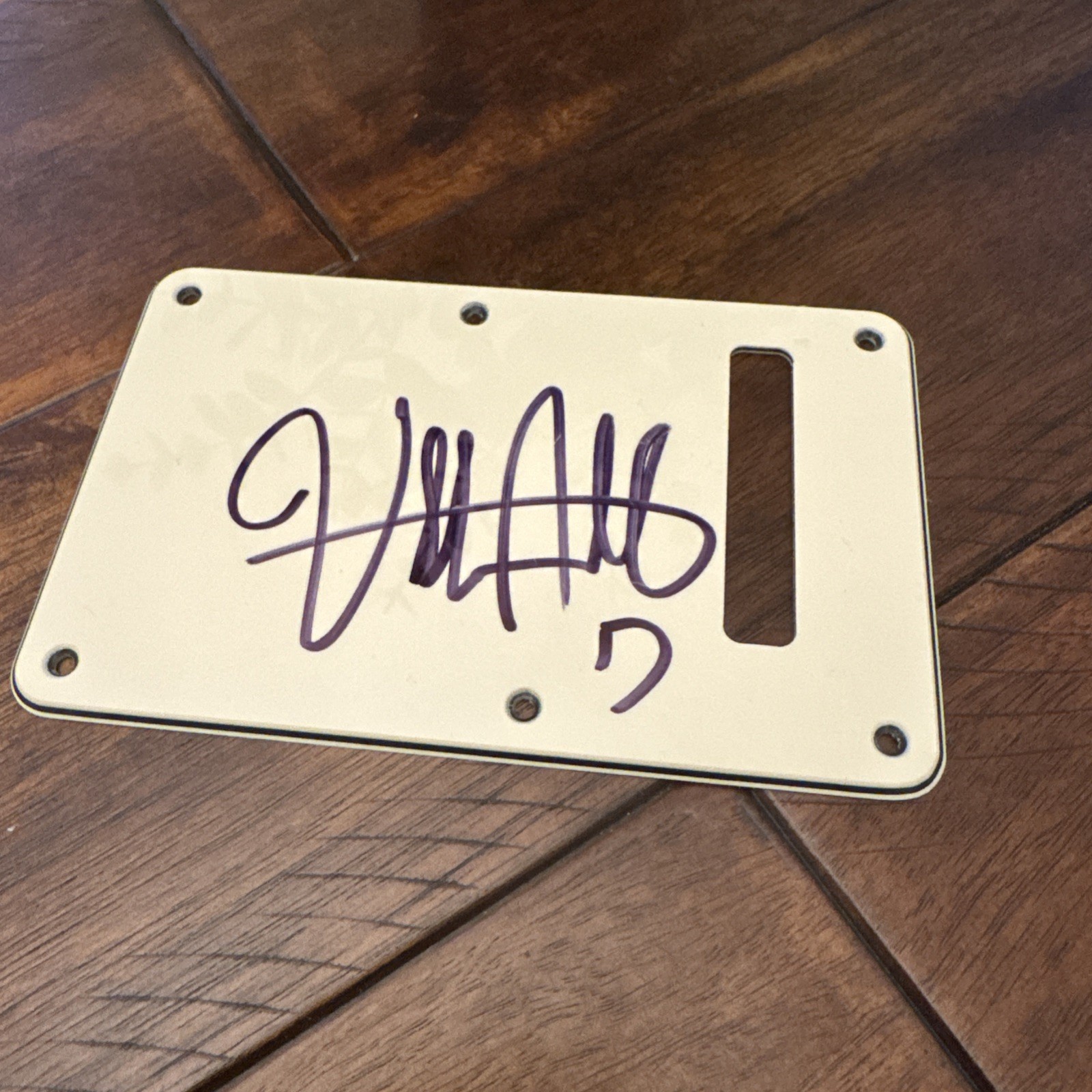 Billy Strings Signed Fender Guitar Back Plate Bluegrass Autographed w/COA Proof