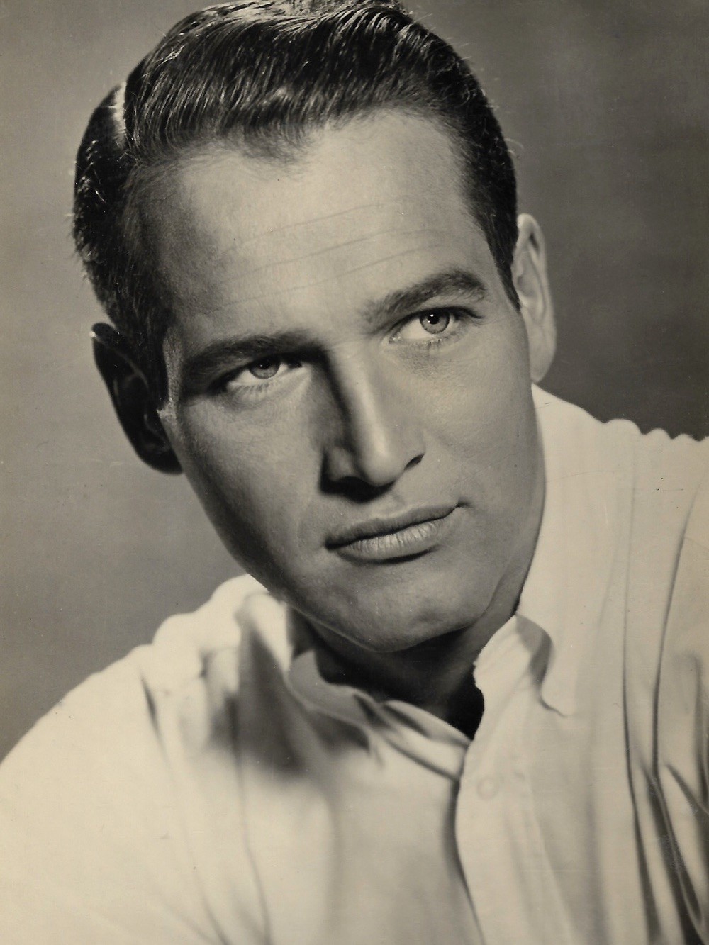 Paul Newman in The Young Philadelphians (1959) Portrait Photo 8.5×11