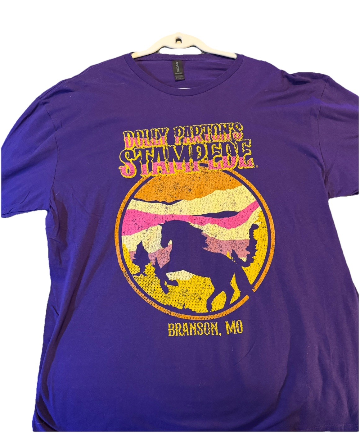 Gildan Softstyle Purple Graphic Tee Branson MO Dolly Parton Stampede Size XL