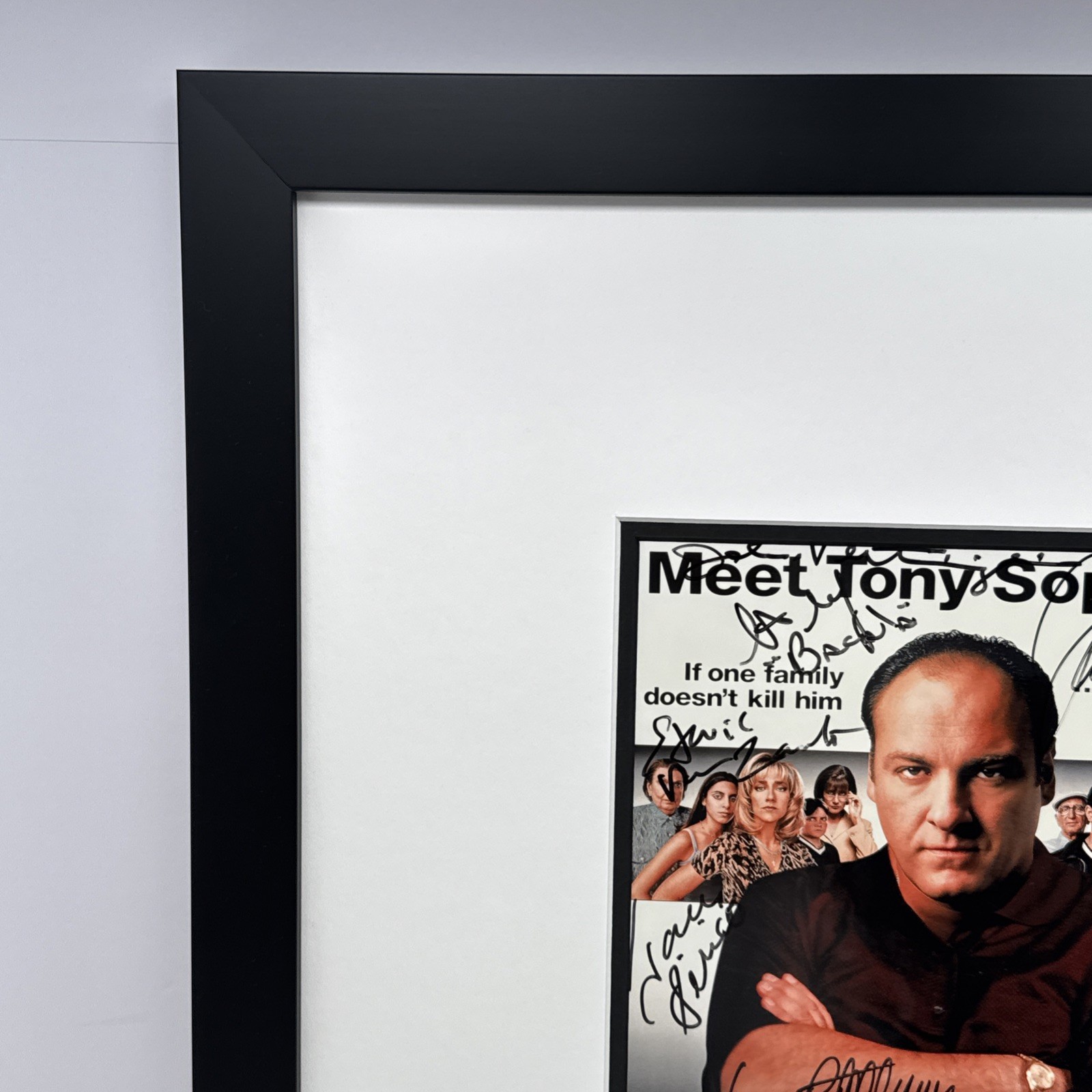 Sopranos Signed Poster Framed Autographed James Gandolfini Tony Sirico 20″x17″