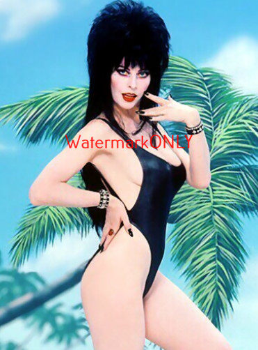 Cassandra Peterson “Elvira” “Mistress of the Dark” SEXY “Pin-Up” PHOTO! #(118bb)