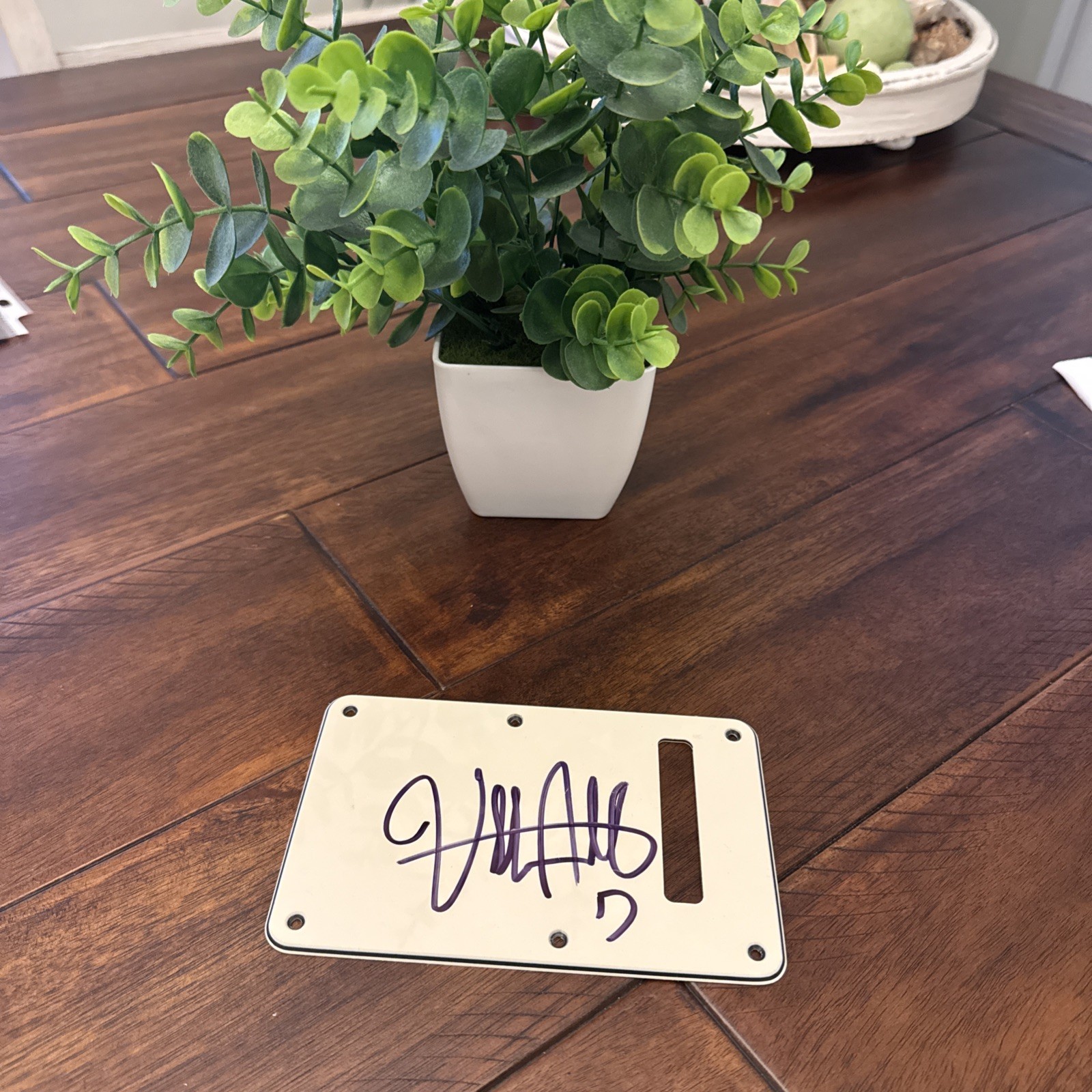 Billy Strings Signed Fender Guitar Back Plate Bluegrass Autographed w/COA Proof