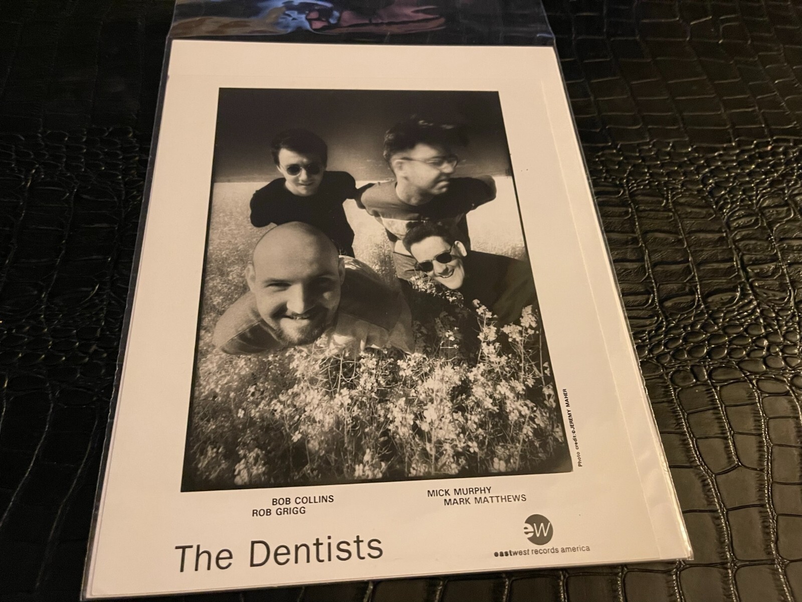 VINTAGE 8×10 MUSICIAN PROMO PHOTO – THE DENTISTS (MISC1874)
