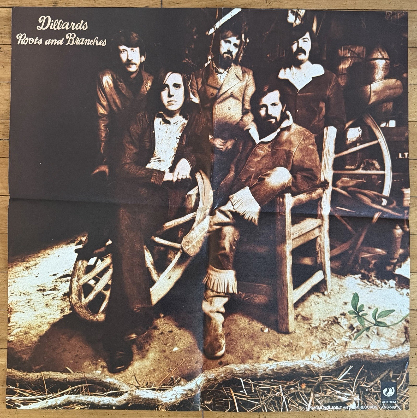 THE DILLARDS Roots And Branches 1972 Anthem PROMO Only POSTER Country Rock DOUG