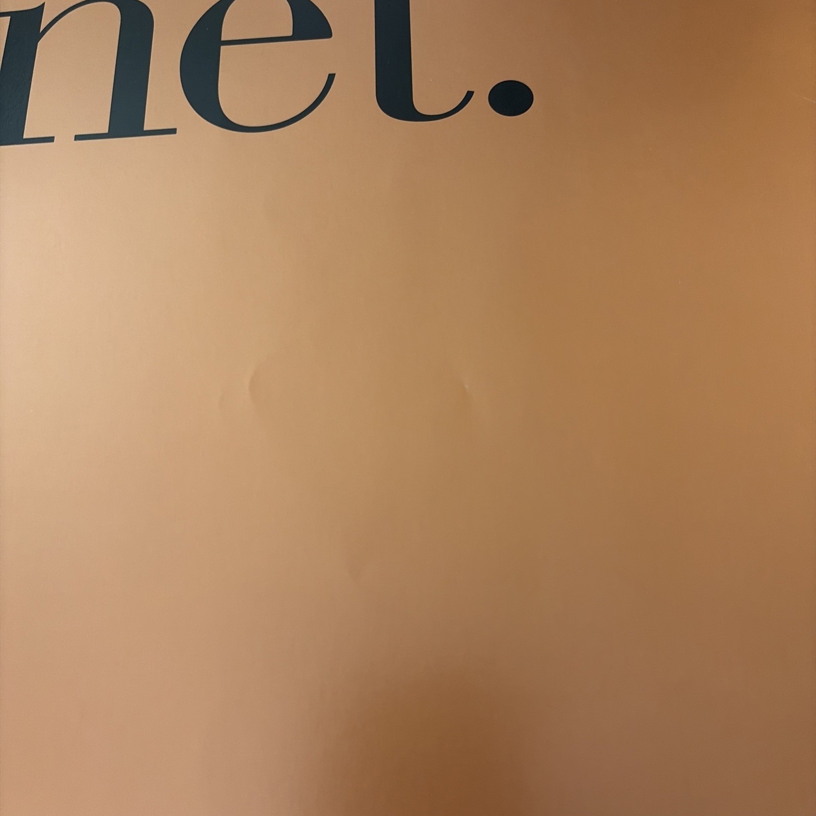 Janet Jackson 1993 Two-Sided Promo Poster Brass Metallic 90s Vintage