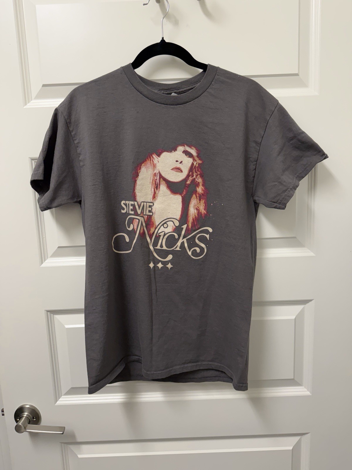 Gildan Ultra Cotton Stevie Nicks Tour 2024 Gray Graphic T-Shirt Size M